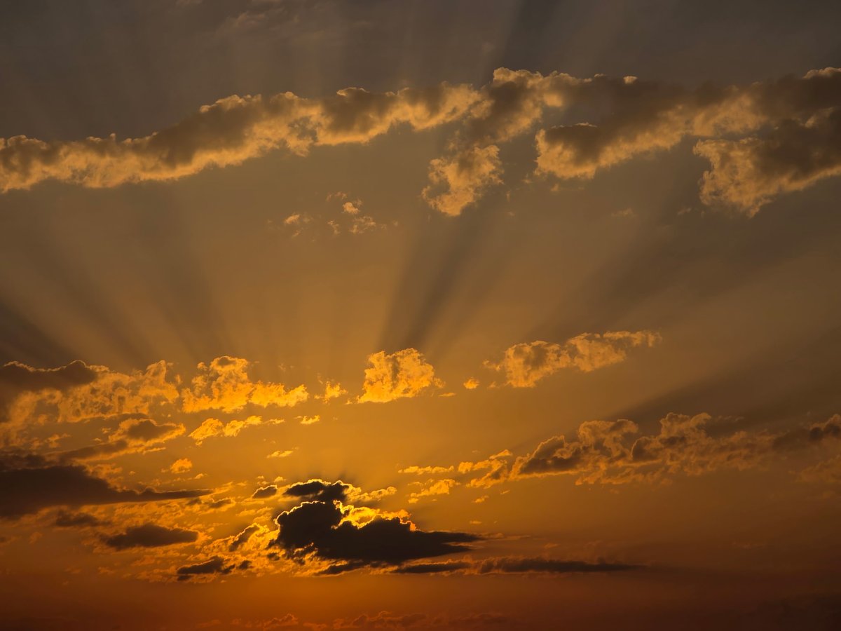 🇺🇸 ❌Aqua Taco❌🇺🇸 tweet media