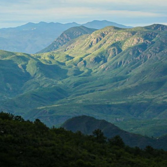 DUA NetZero Consulting tweet media