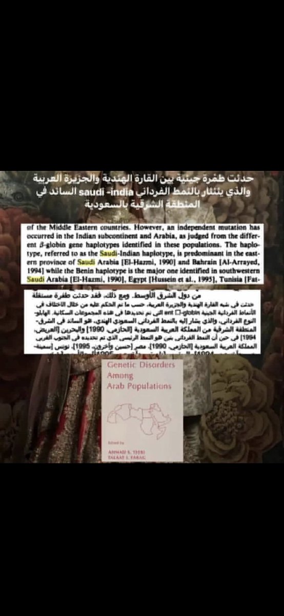 hamed tweet media
