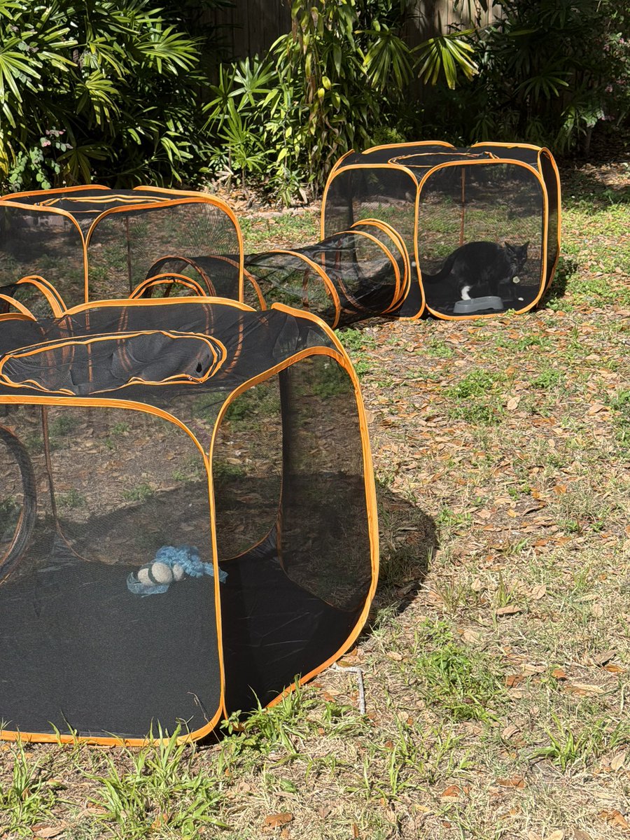 JimmyGoodVib3s tweet media