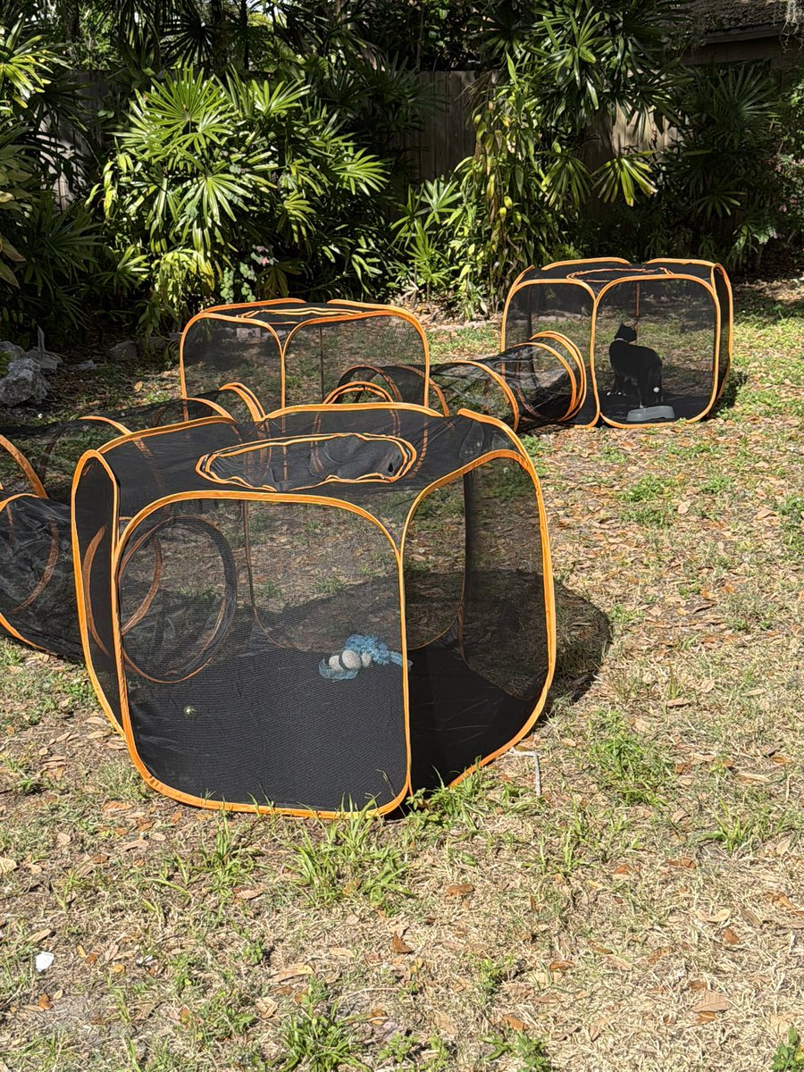 JimmyGoodVib3s tweet media