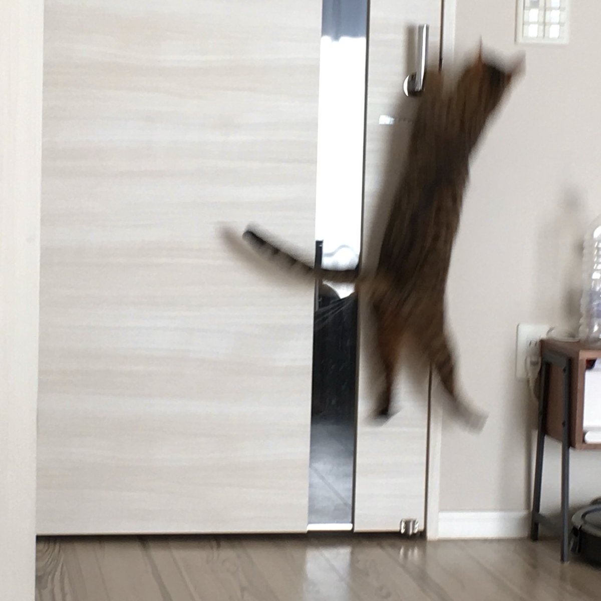 元気があって大変よろしい