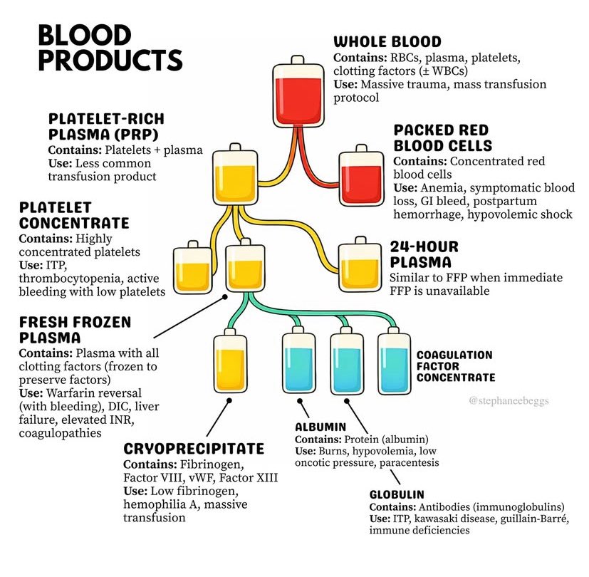 NurseHann100's tweet image. BLOOD PRODUCTS

#Nursing
#NursingNotes
#Nclex
#PNLE
#MedTwt
#NursingTwt
#MedX