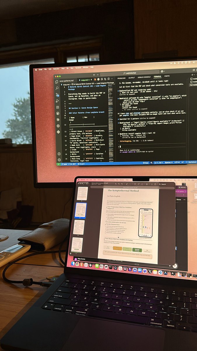 Meg Corren 🌸 tweet media