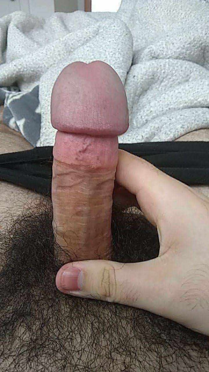 That Guy Pippy tweet media