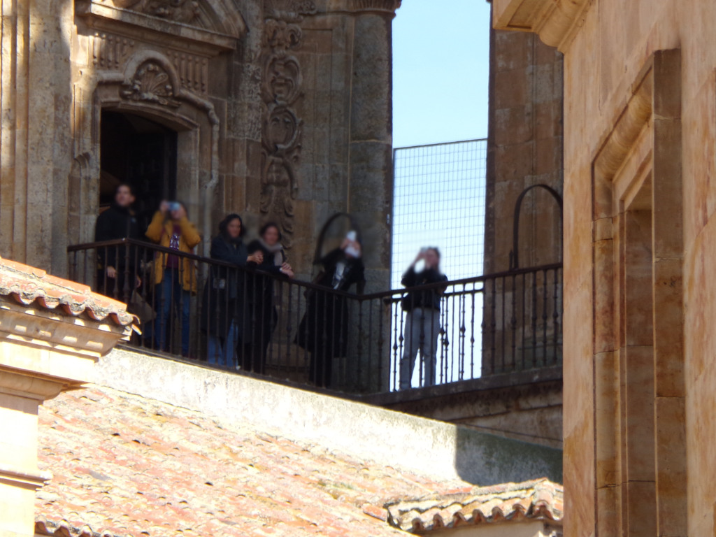 Ciudadanos por la Defensa del Patrimonio SALAMANCA tweet media