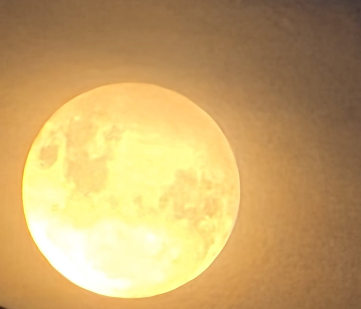 Romi_y_luna's tweet image. #BloodMoon