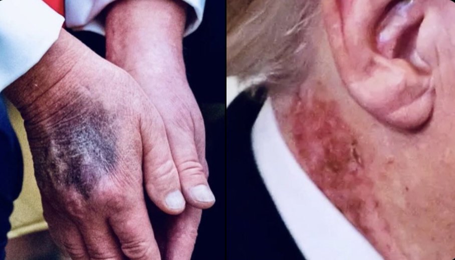 Mary L Trump tweet media