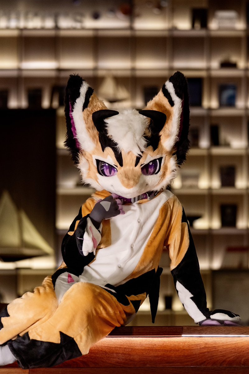 沃爾夫 & 幻幻小龍 🔜 2026 UTFG🇹🇼 tweet media