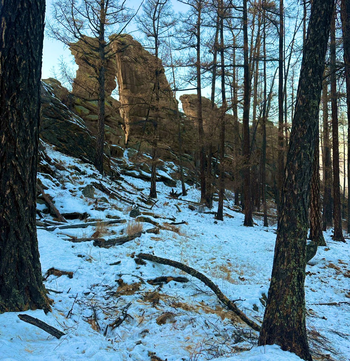 Bayasgalan tweet media