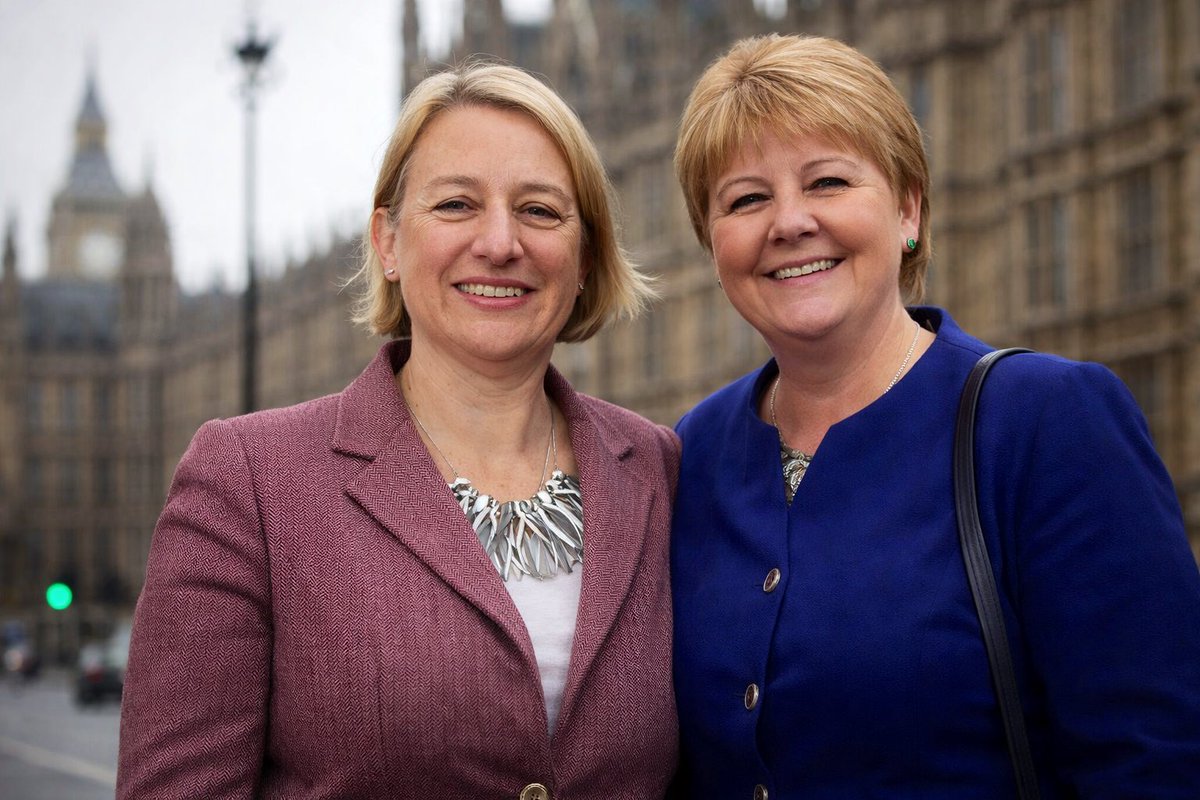 Blon4Mayor's tweet image. Twin tulips — different flower beds ❤️🌷