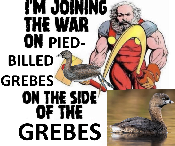 Catworm كاثرين tweet media