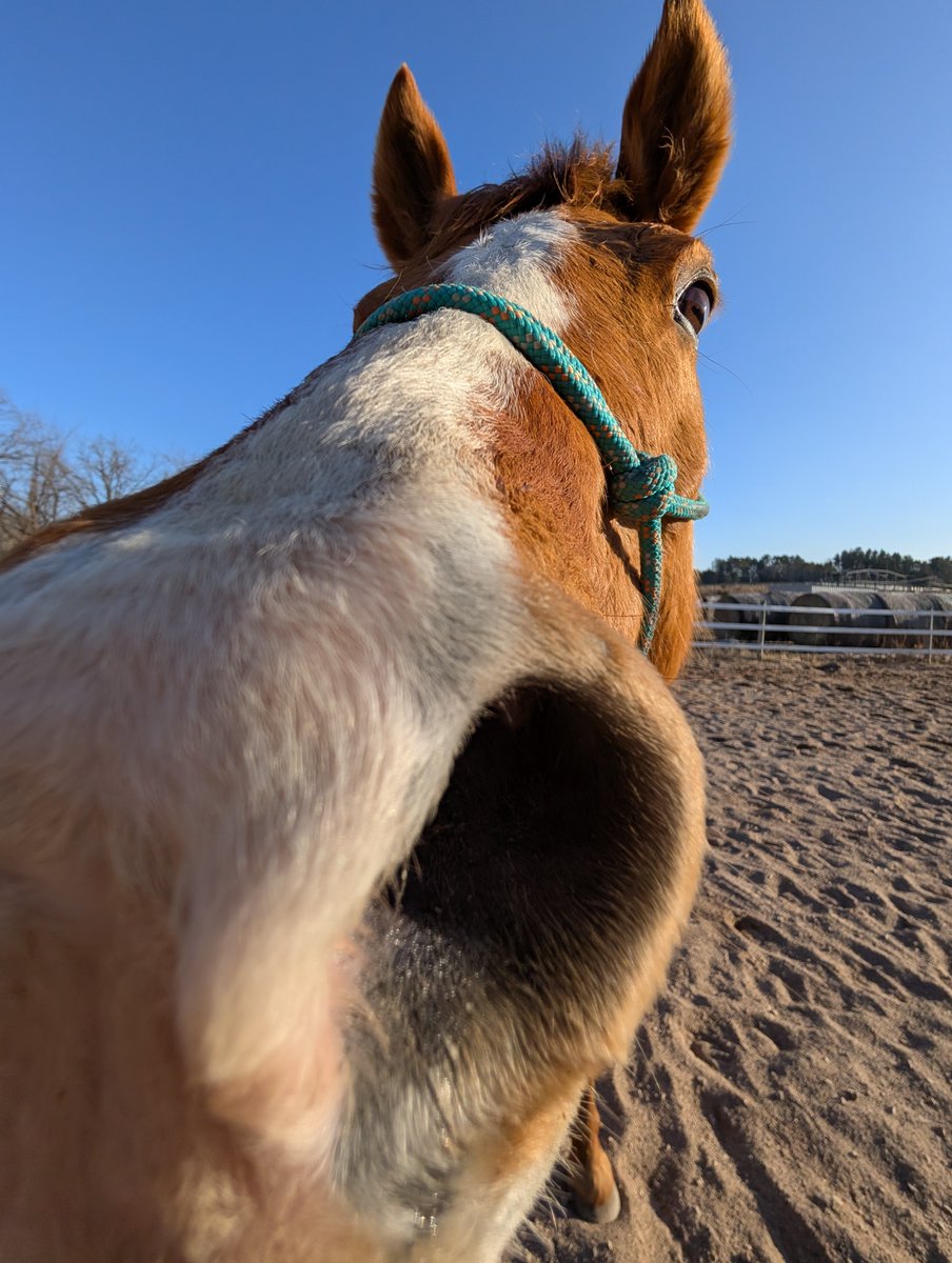 OhLarnSheDrawin' tweet media