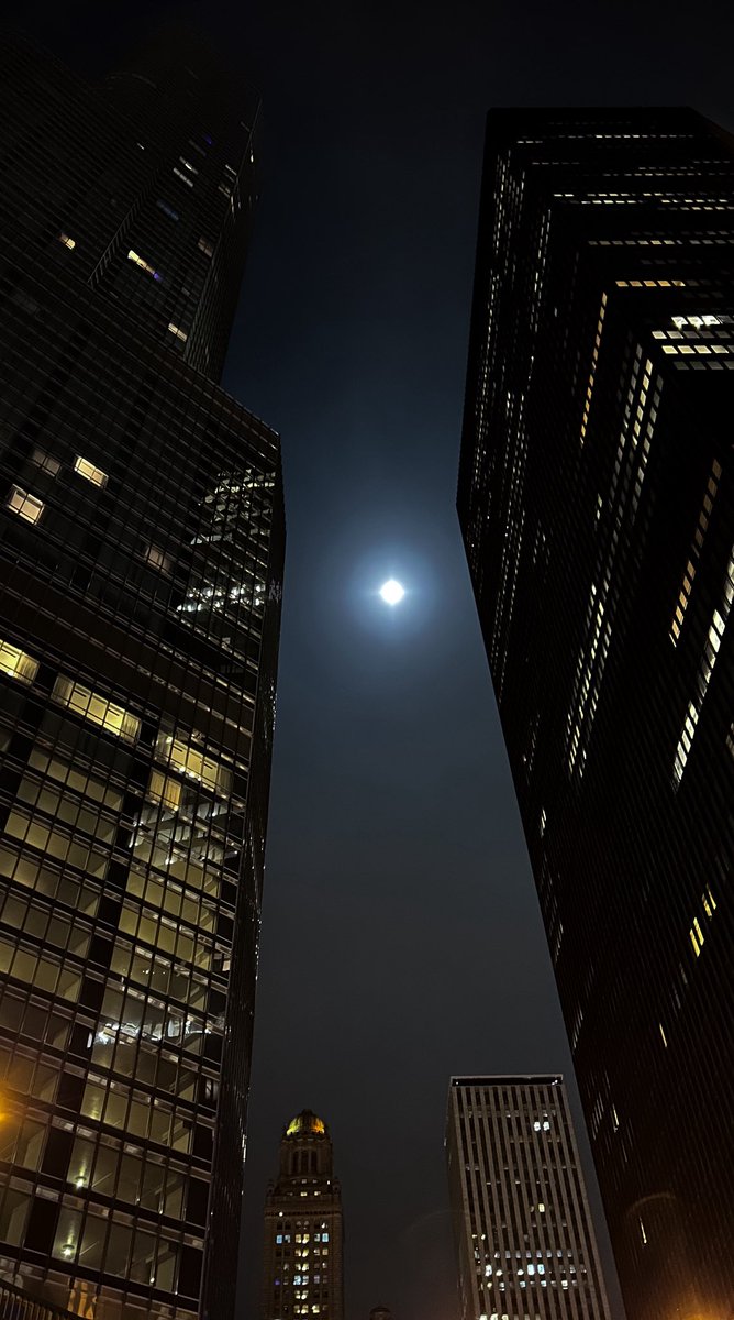 gabriel x. michael tweet media