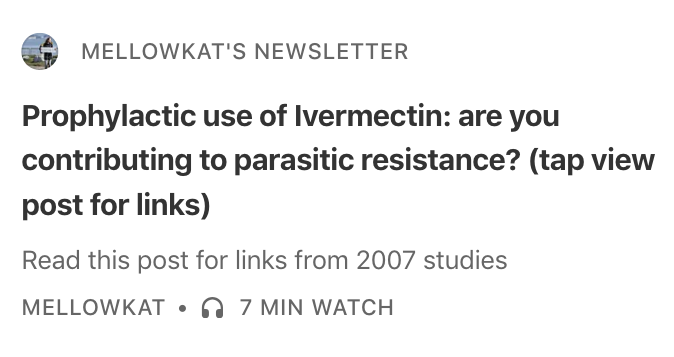 Mellow Kat tweet media