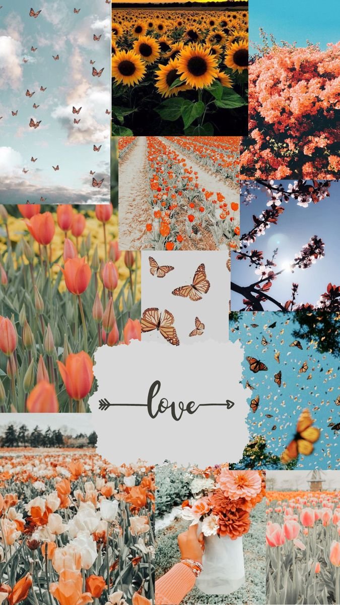 CataRsis ♡ tweet media