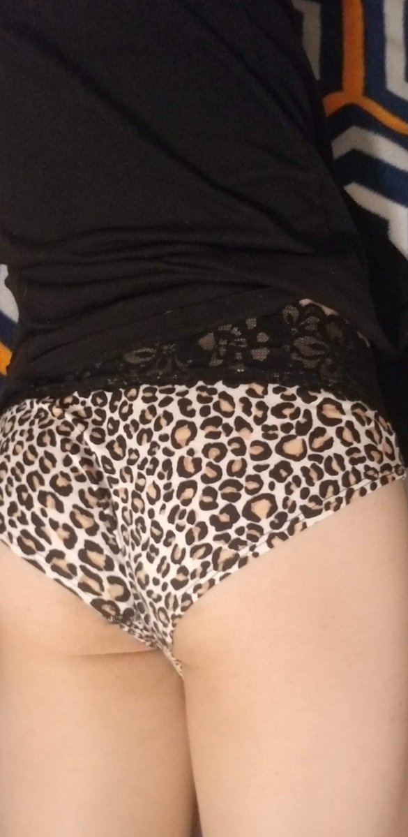 Kink Calico tweet media