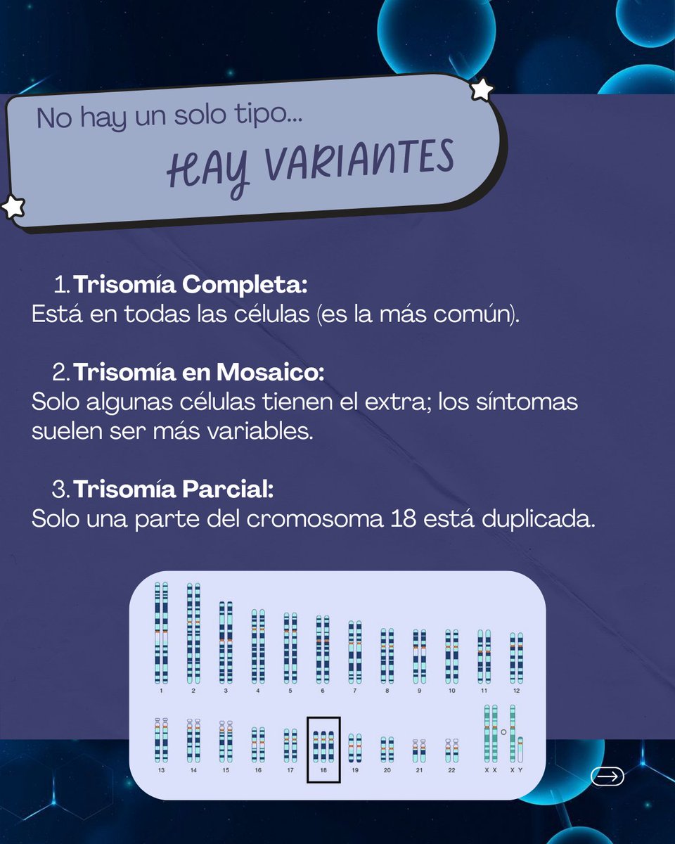 RINDe_UNAM's tweet photo. ¿Es la Trisomía 18 "incompatible con la vida"? La evidencia médica de 2024-2026 dice que es momento de actualizar el paradigma. En la #RINDe te compartimos los hallazgos más recientes sobre el Síndrome de Edwards. 🧵👇 https://t.co/JrrZNJuOfN