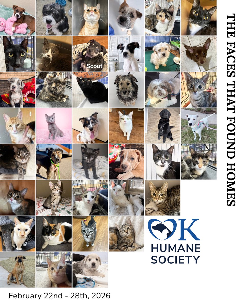Oklahoma Humane Society tweet media
