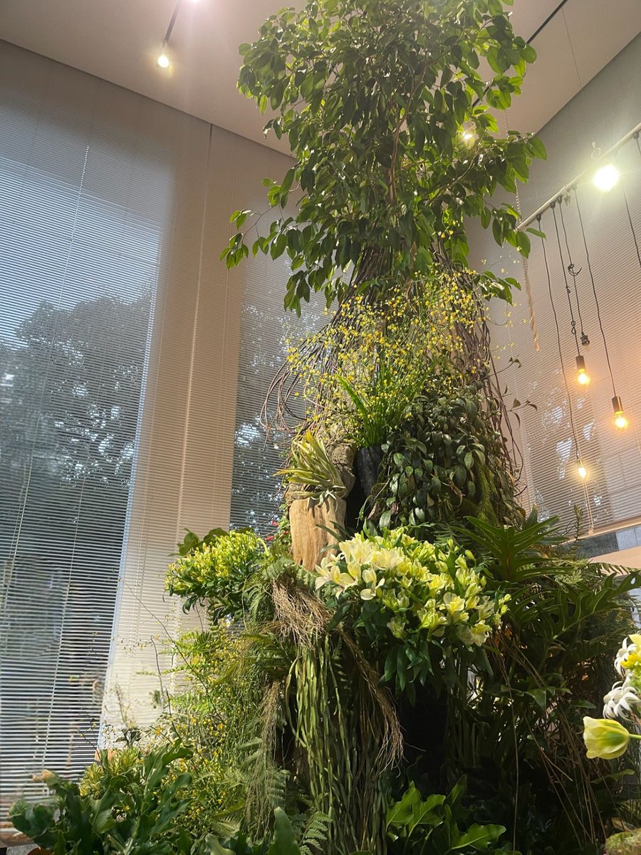 日比谷公園本店で、自然のパワーに包まれるバイオフィリックな空間演出