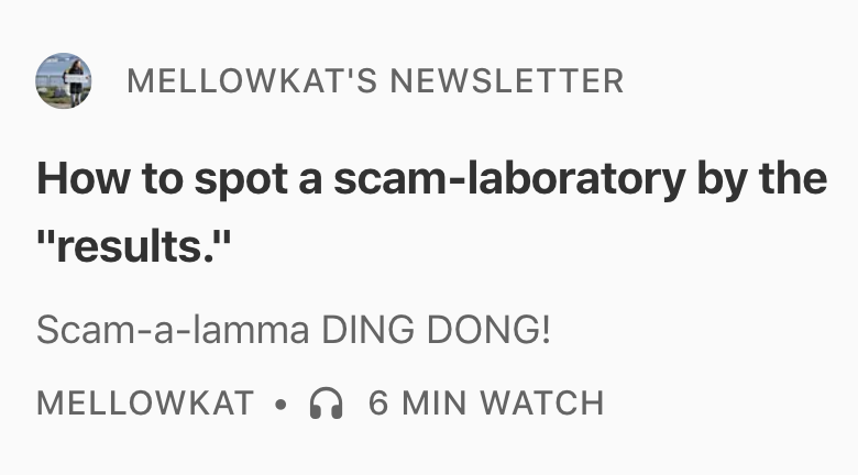 Mellow Kat tweet media