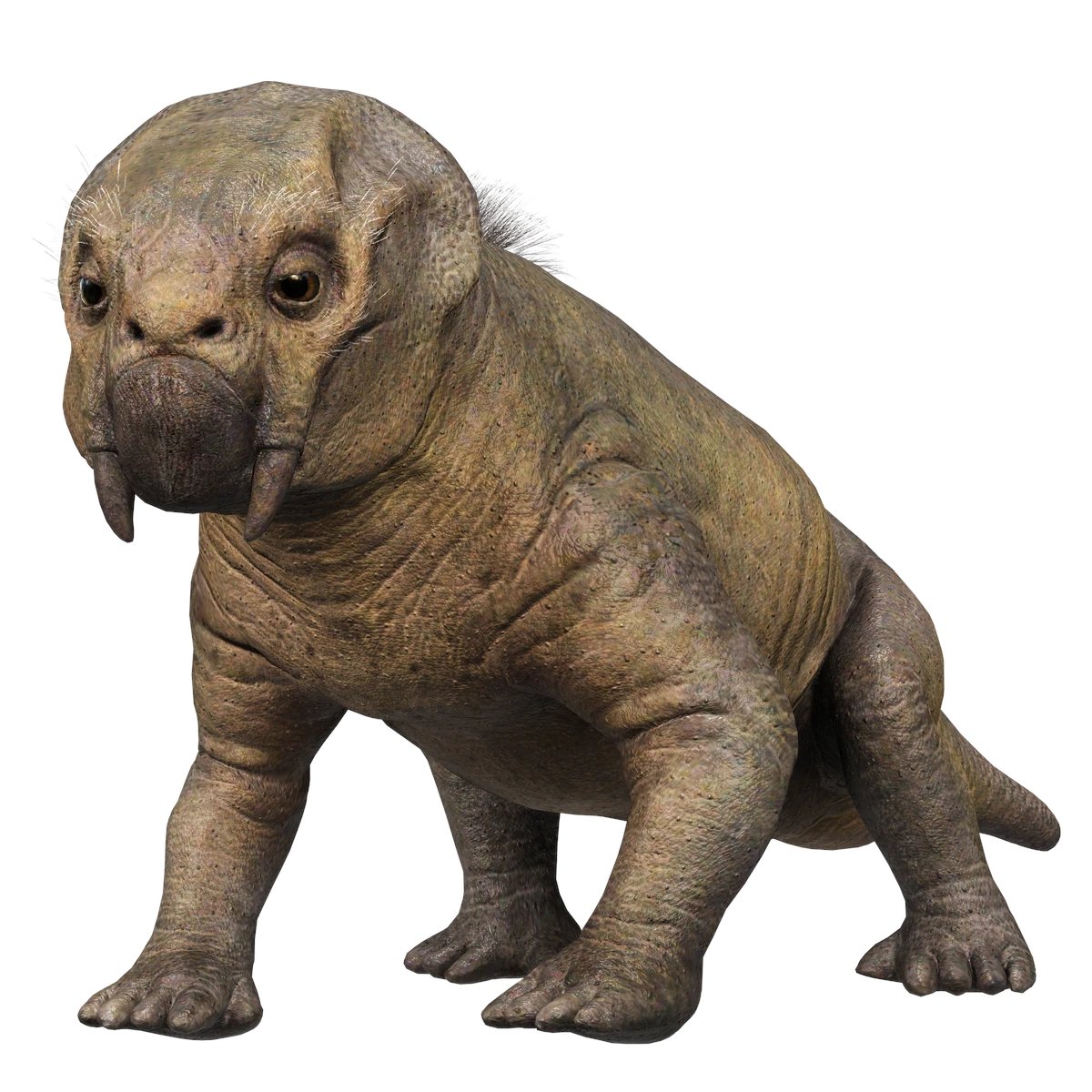 DiscussingBones tweet media