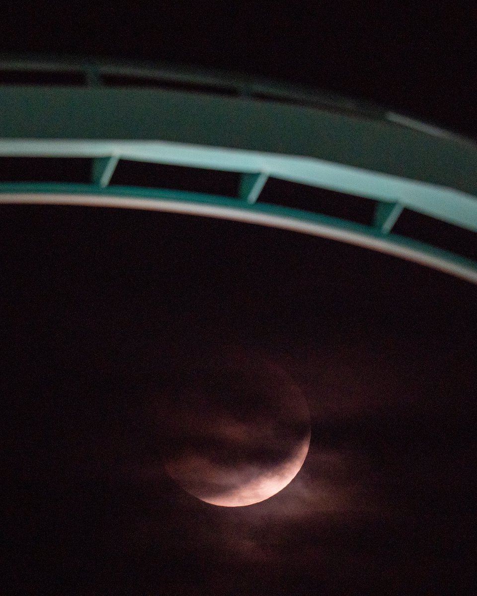 Canada's Wonderland tweet media