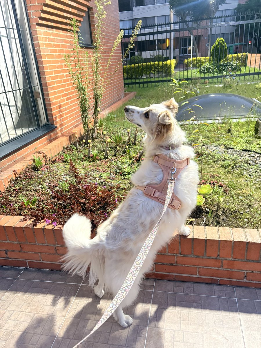 Dra. Malu 🫀 tweet media