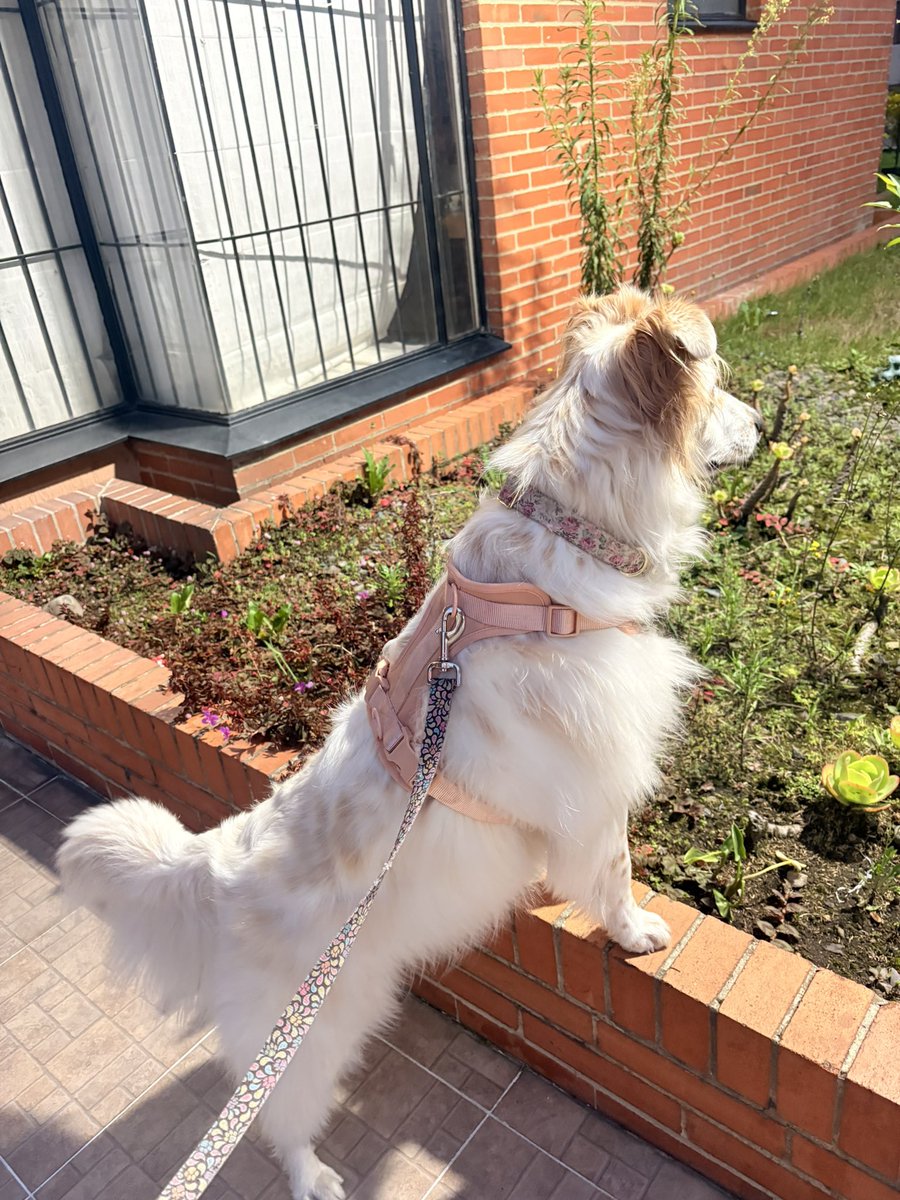 Dra. Malu 🫀 tweet media