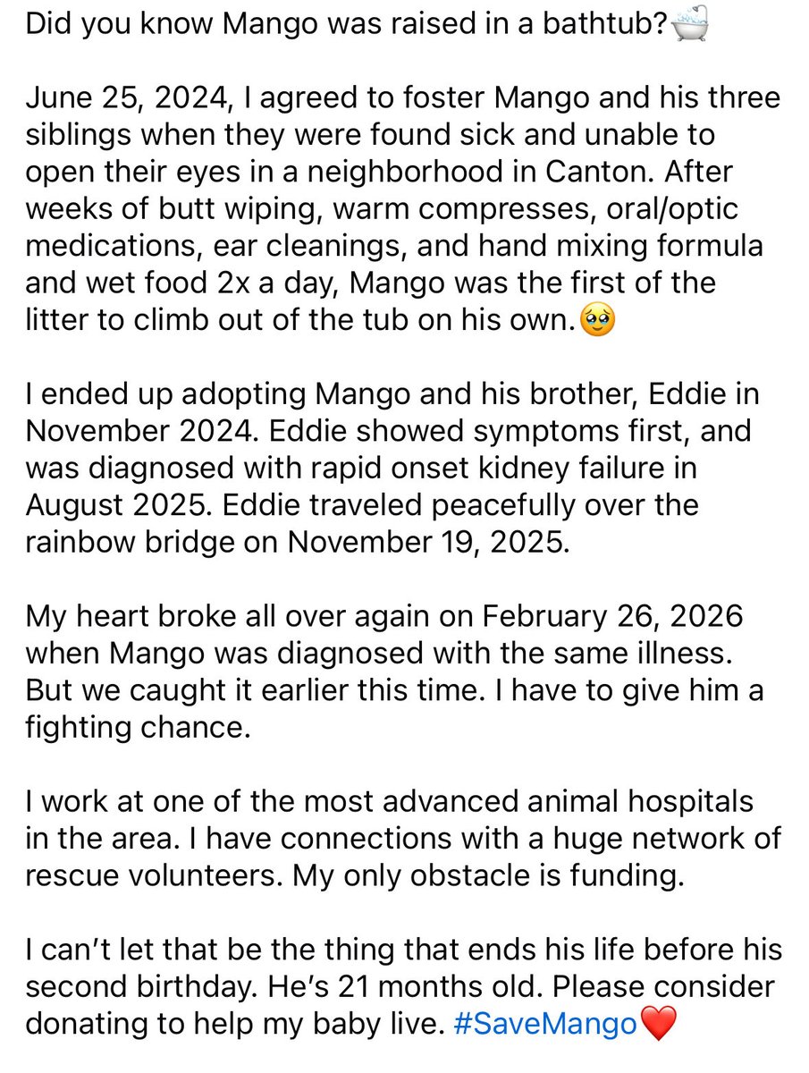 dovethedivine's tweet photo. Please help me save my baby! #SaveMango❤️
https://t.co/S0TYV4z18v https://t.co/zQrBVKgJJl