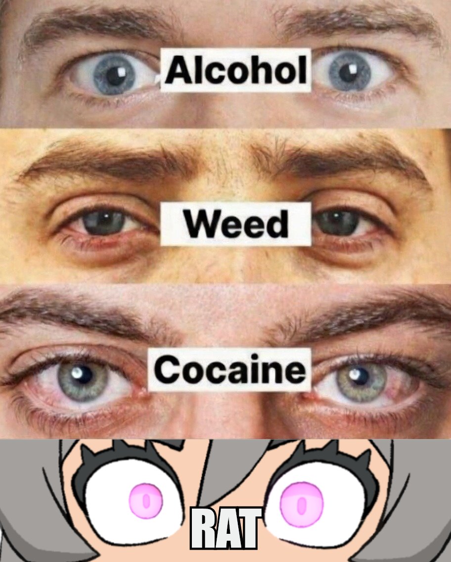 Boo the RAT 🐀🎃SEWER WITCH tweet media