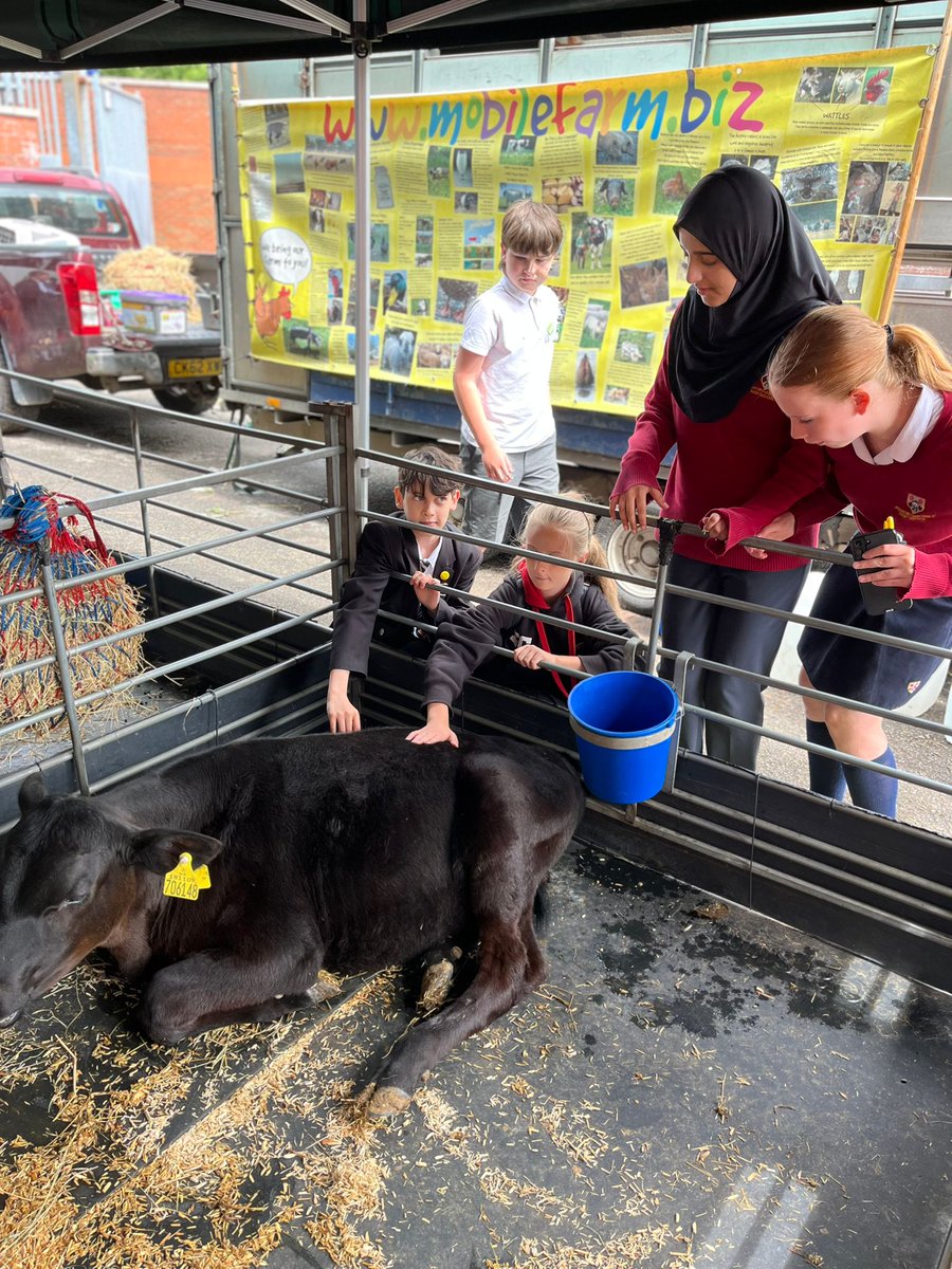 Sustainability Learning CIC tweet media