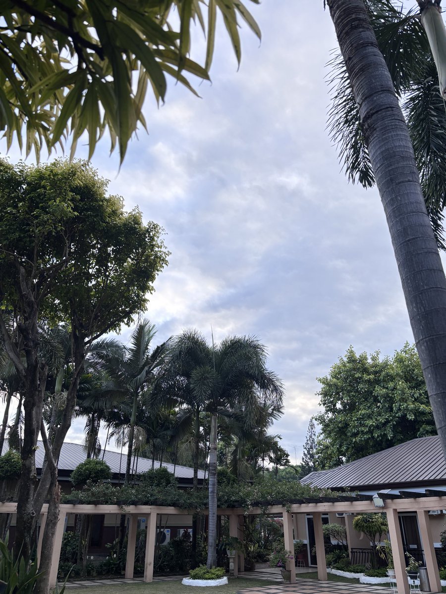 Abel Rabe tweet media