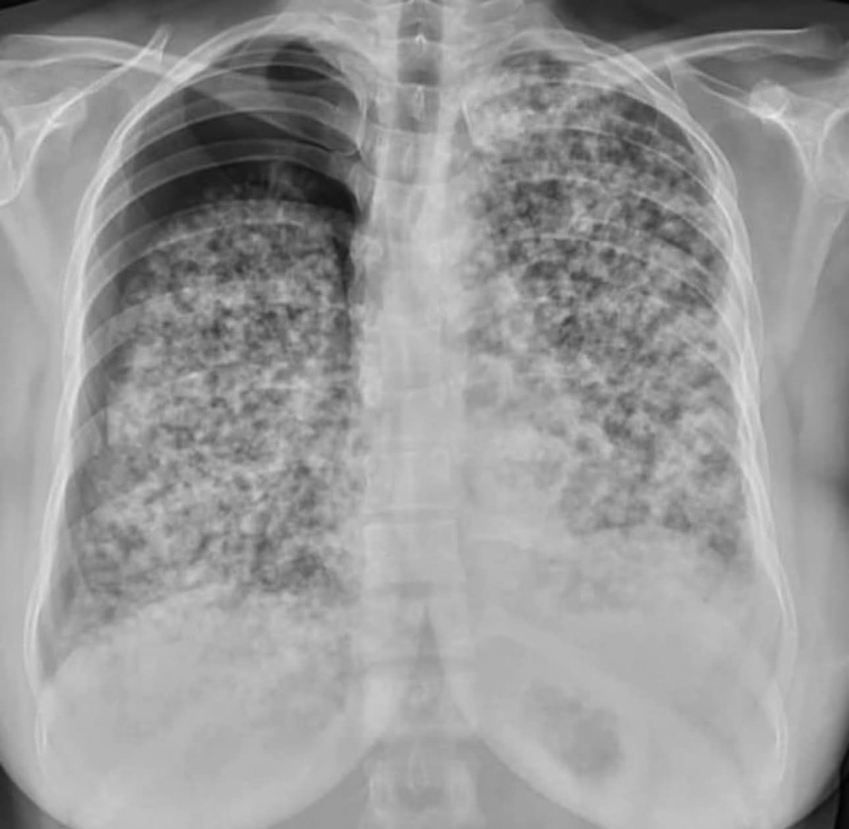 C.Alberto Ortega tweet media