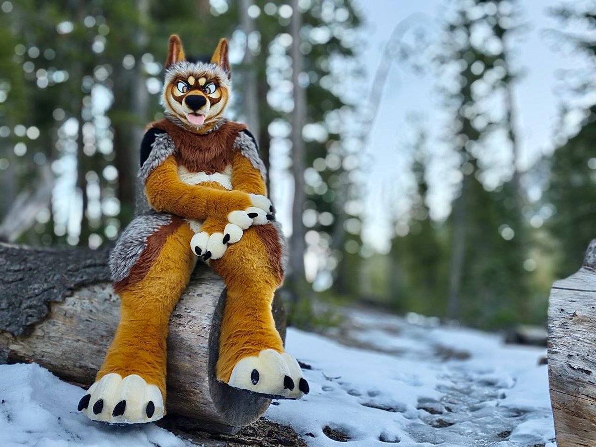 Rustic Yote tweet media