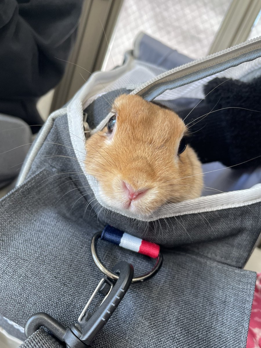 ゆうかちゅ☮️💚🐰PTSDed EVA (@yuka_06111) / Posts / X