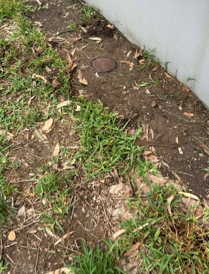 ExterraTermite's tweet photo. Shout out to South West Sydney Pest Control! 

"Installing Ensystex Termite Bait Stations 🔍🐜
Another property protected the right way.
Subterranean termites work from the soil up — completely out of sight. That’s why we install in-ground bait stations around the perimeter. https://t.co/Z0QuHEXQfa
