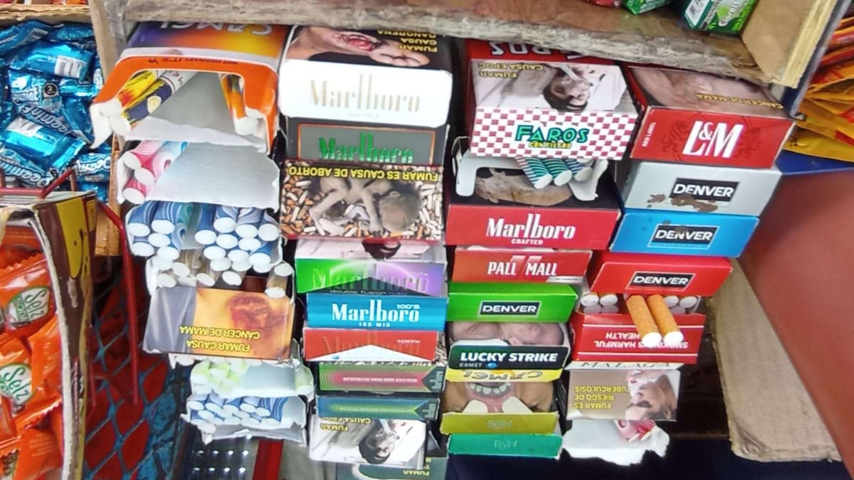 Nicolás Pacheco de Amor en Custodia tweet media