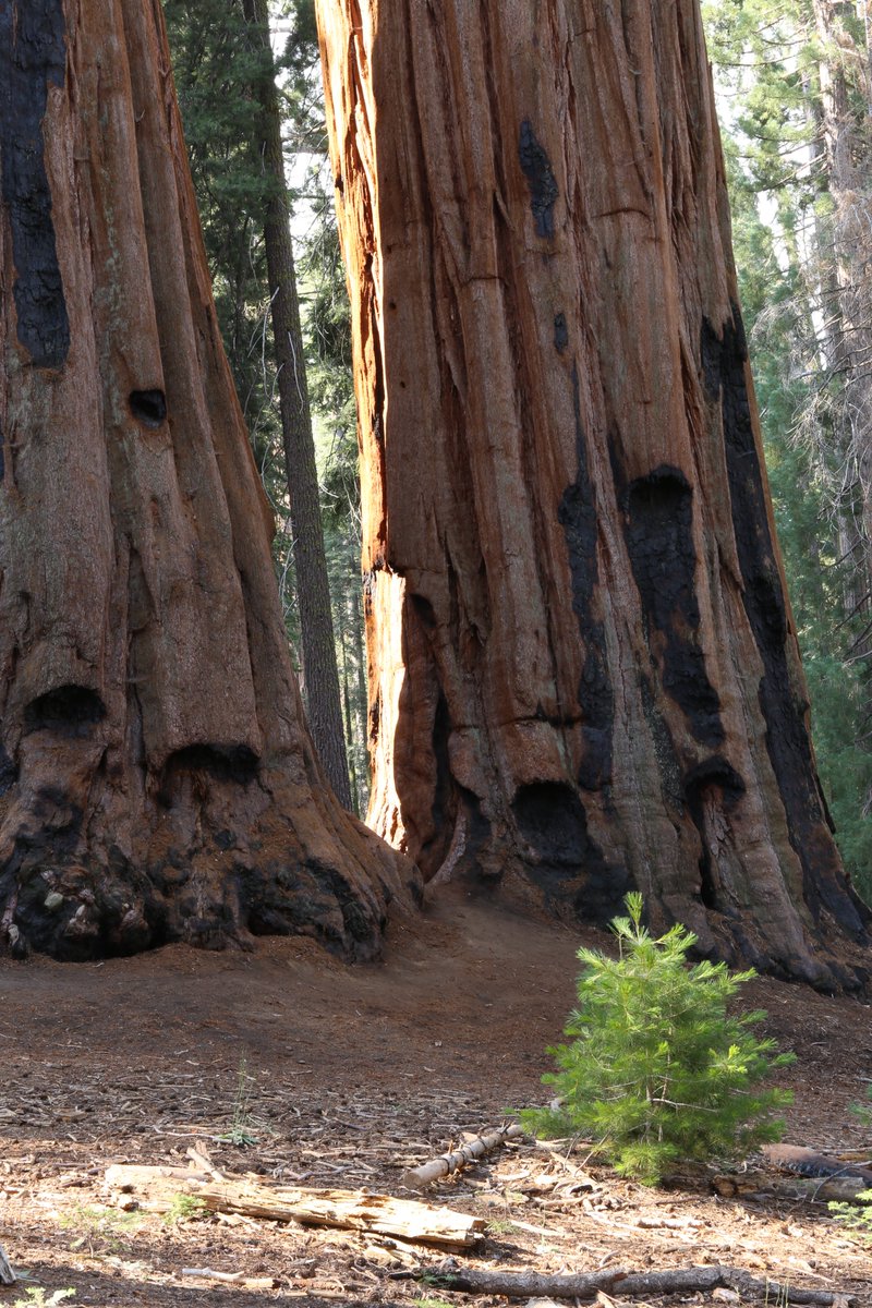 Scott Herring tweet media