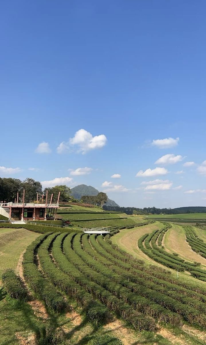 一希Easy_7777 tweet media