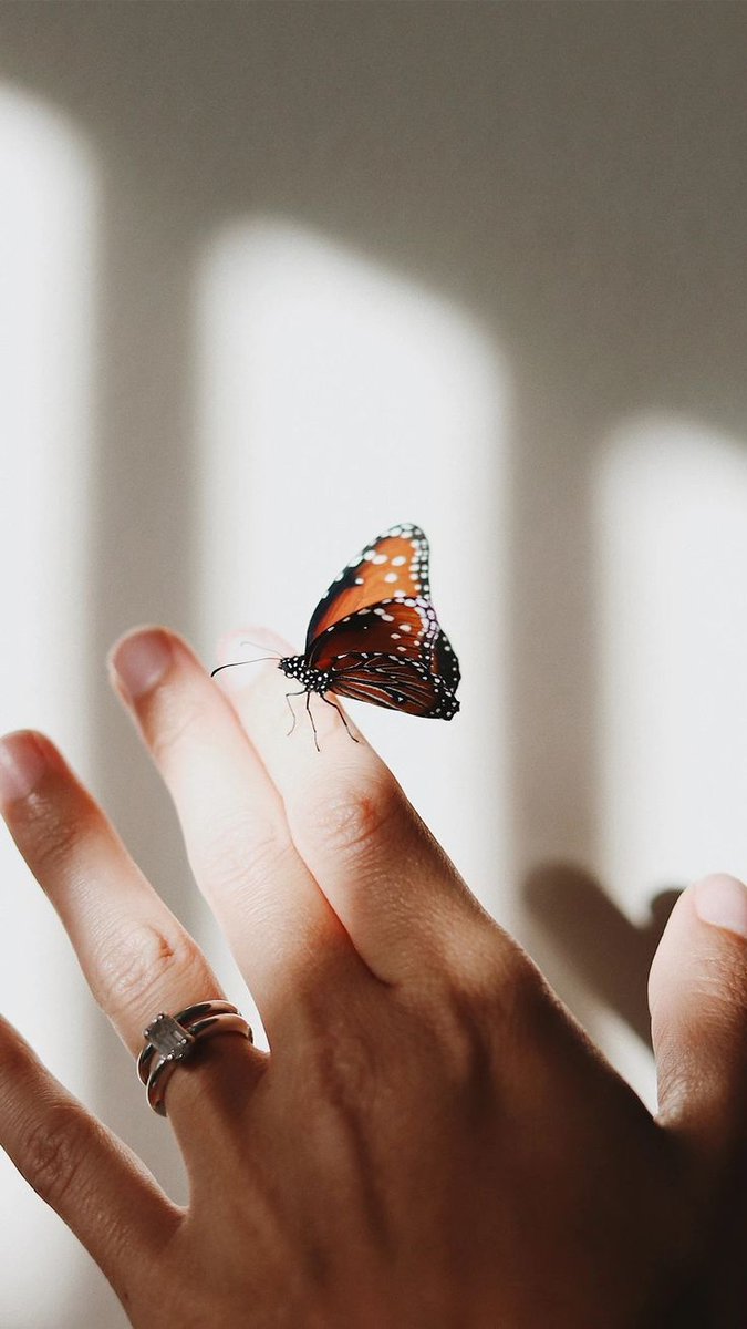 Ąℓ ⑅◡̈* 🇹🇭 ❥ ✧˖◡̈⃝°˖* ͟͟͞͞➳❥ tweet media