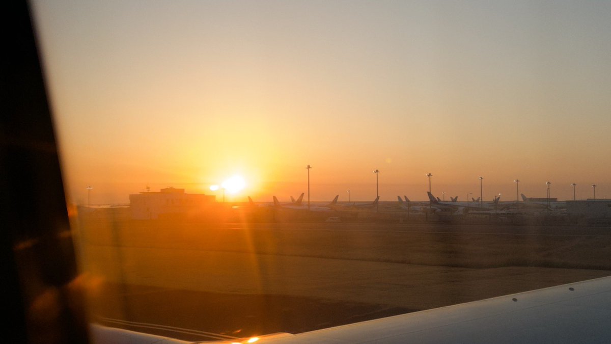 STARGLOW tweet media