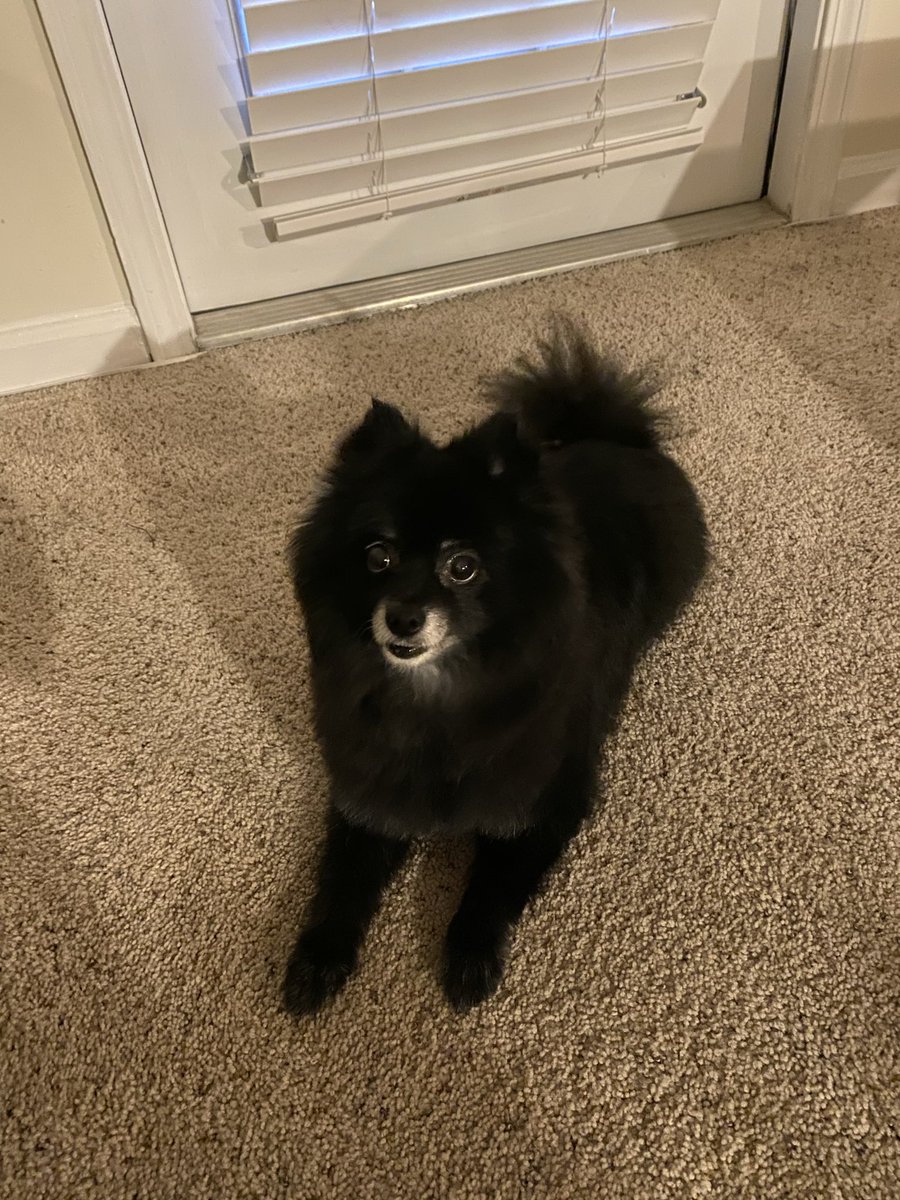 TheCheapest tweet media