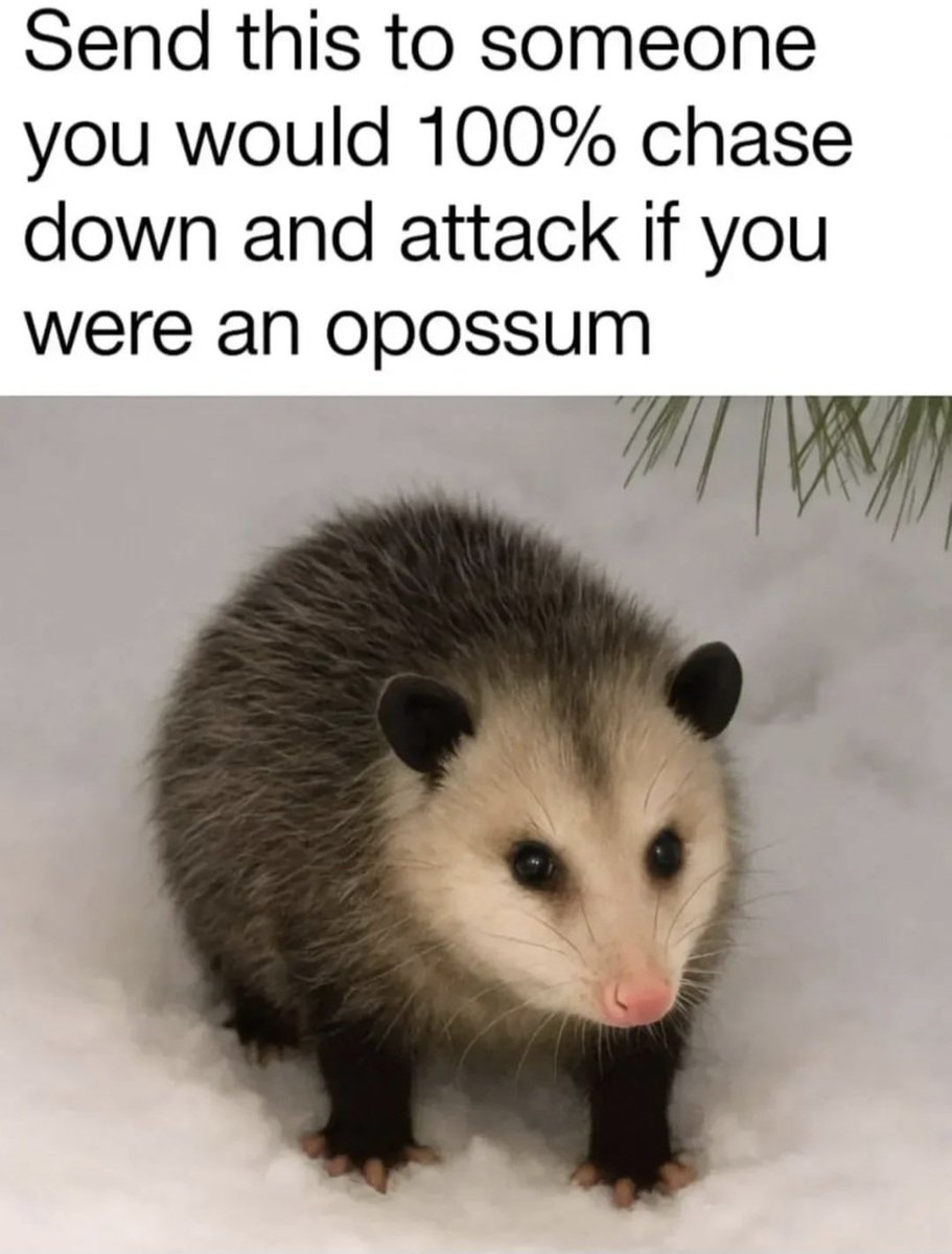 Note Floh2848 tweet media