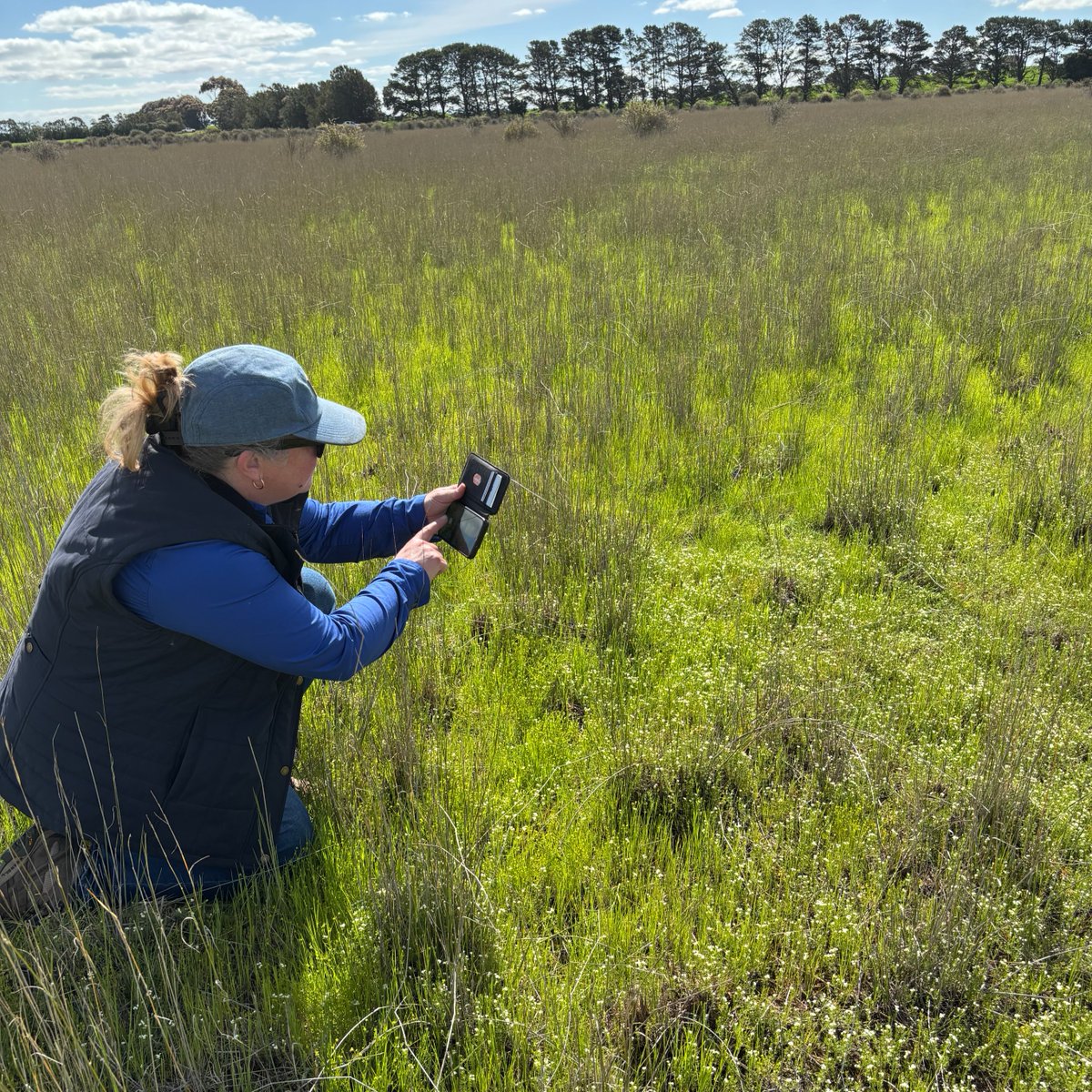 Glenelg Hopkins CMA tweet media