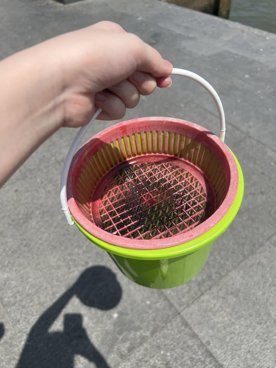 เมื่อวานหนุ่มพาไปไหว้พระ เอาบุญมาฝากน้องๆ #dek69 กันค่า สอบติดคณะในฝันด่วน!!