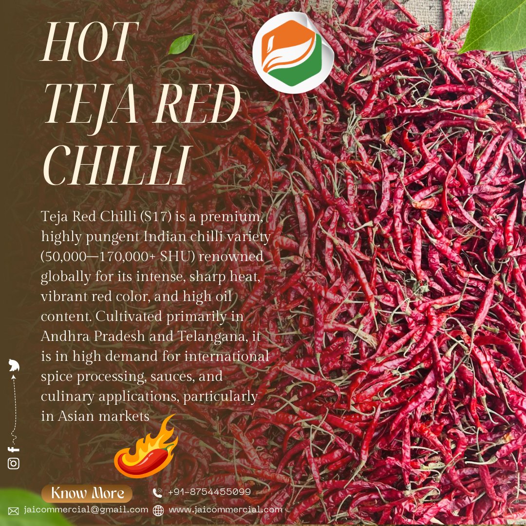 JaiCommercial's tweet image. #dryredchilli #redchilli #driedredchilli #chilliwhole #ChileSeco #indianspice #chilli #s4chilli #hot #drychillisuppliersindia #tejachilli #tejachilliprice #s17chilli #organic #organicfood #food #farming #agriculture #India #Indonesia #China #vietnam #Philippines #Turkey #Russia
