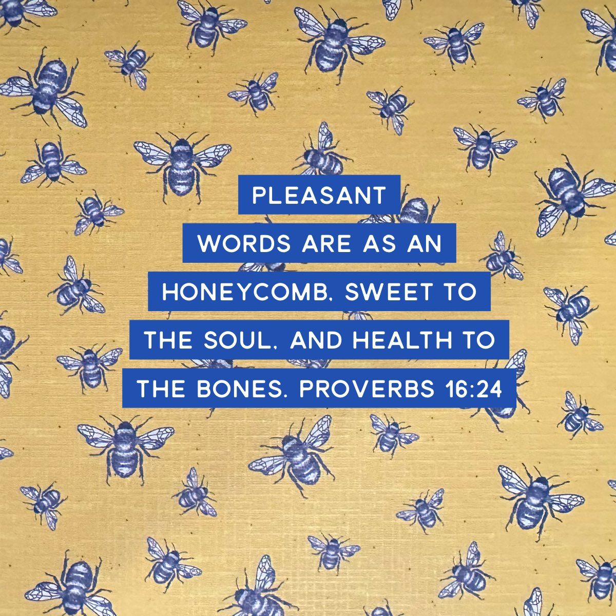 Michelle Cox tweet media