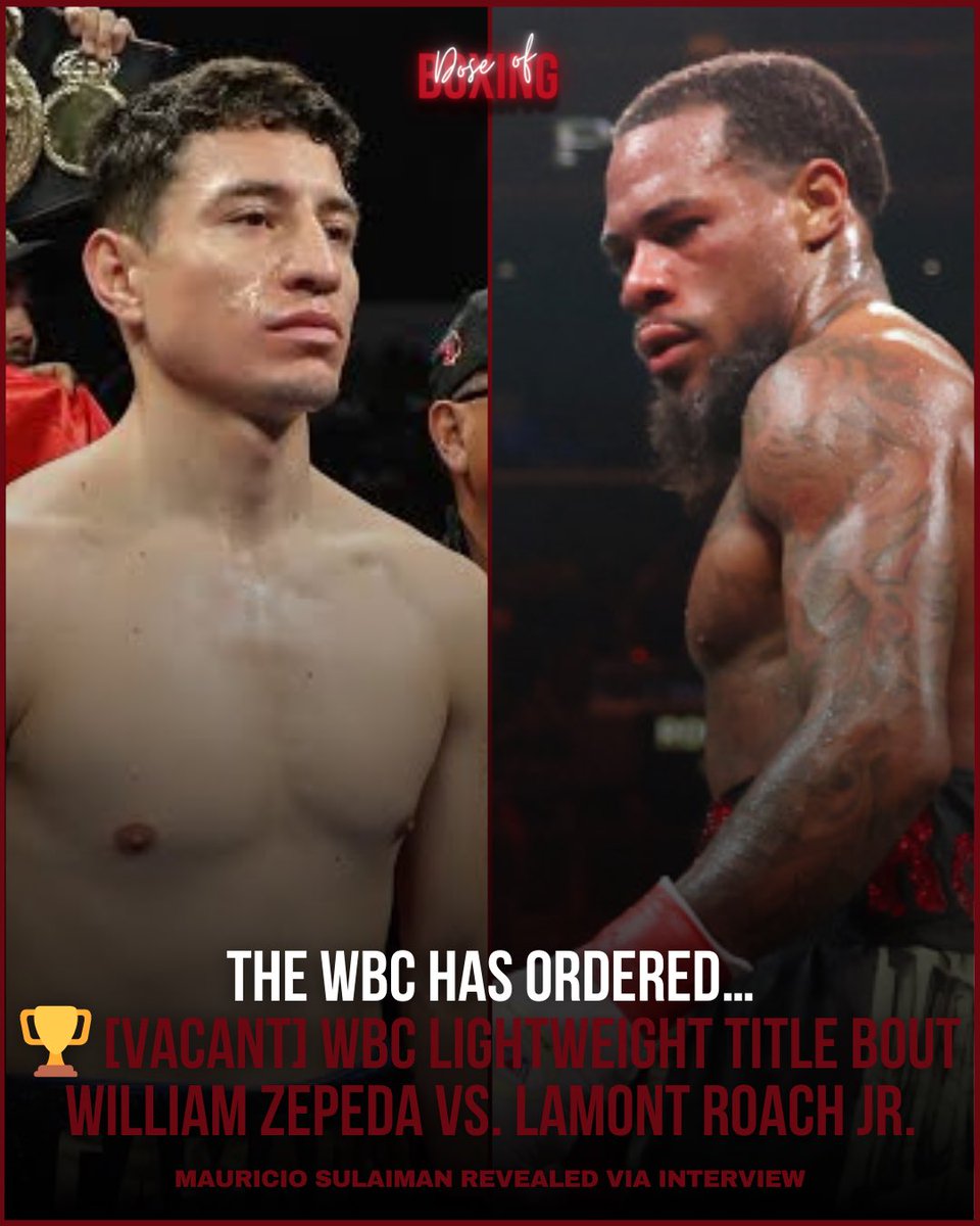 Dose of Boxing tweet media