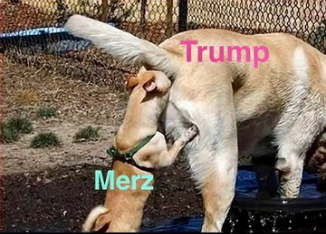 Octoberictos tweet media